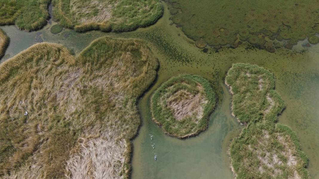 Eşsiz Dilkaya Deltası, kano tutkunlarına ev sahipliği yapıyor 2